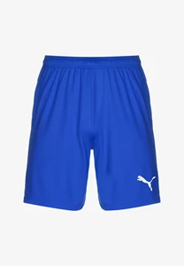 Puma M Teamgoal Shorts